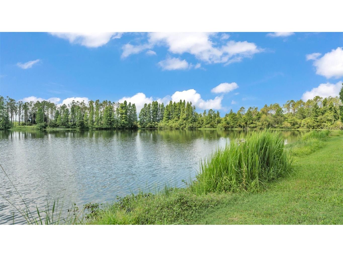 1044 Timbers Drive Fort Meade FL 33841 L4953805 image37