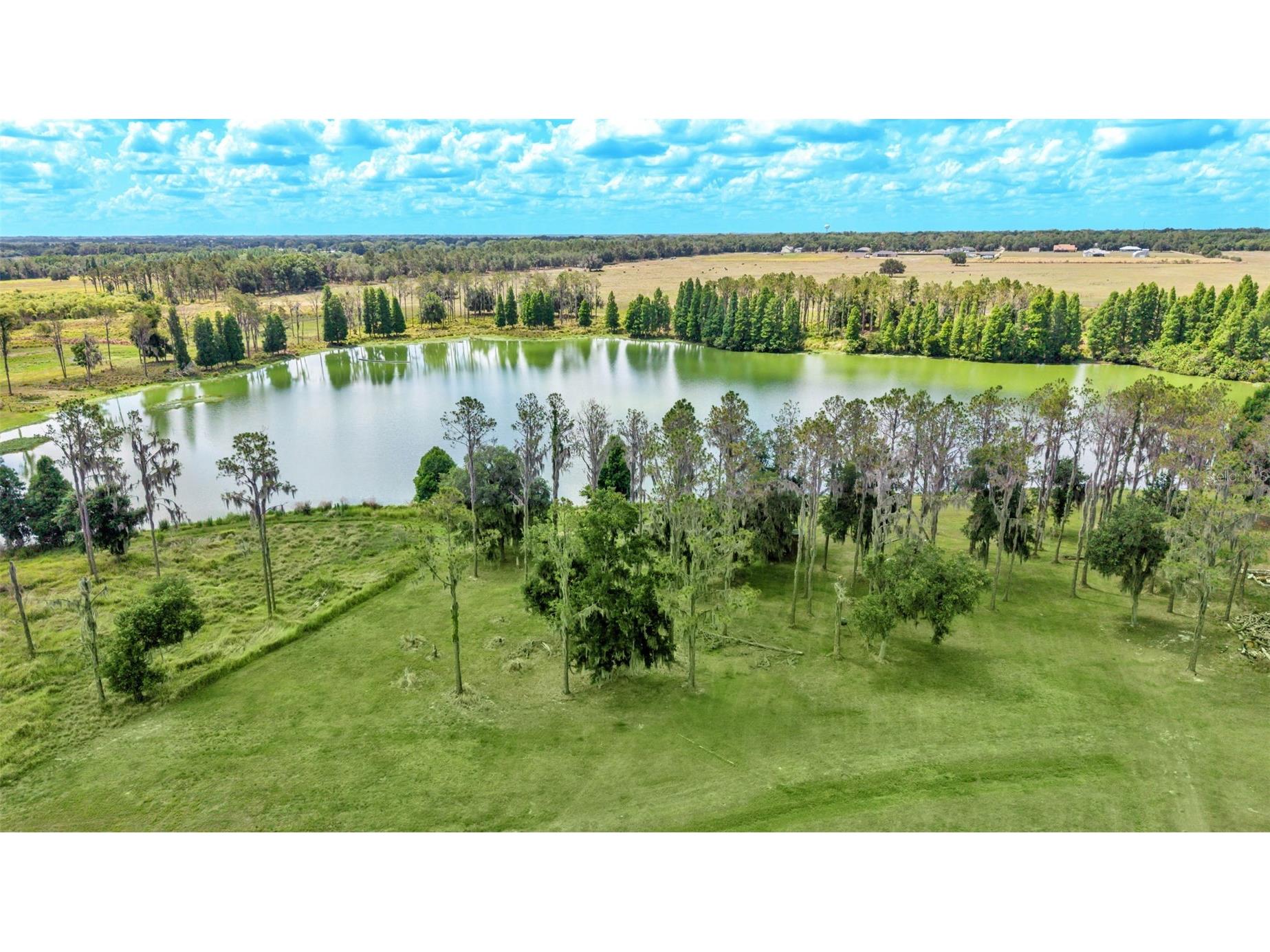 1044 Timbers Drive Fort Meade FL 33841 P4938822 image5