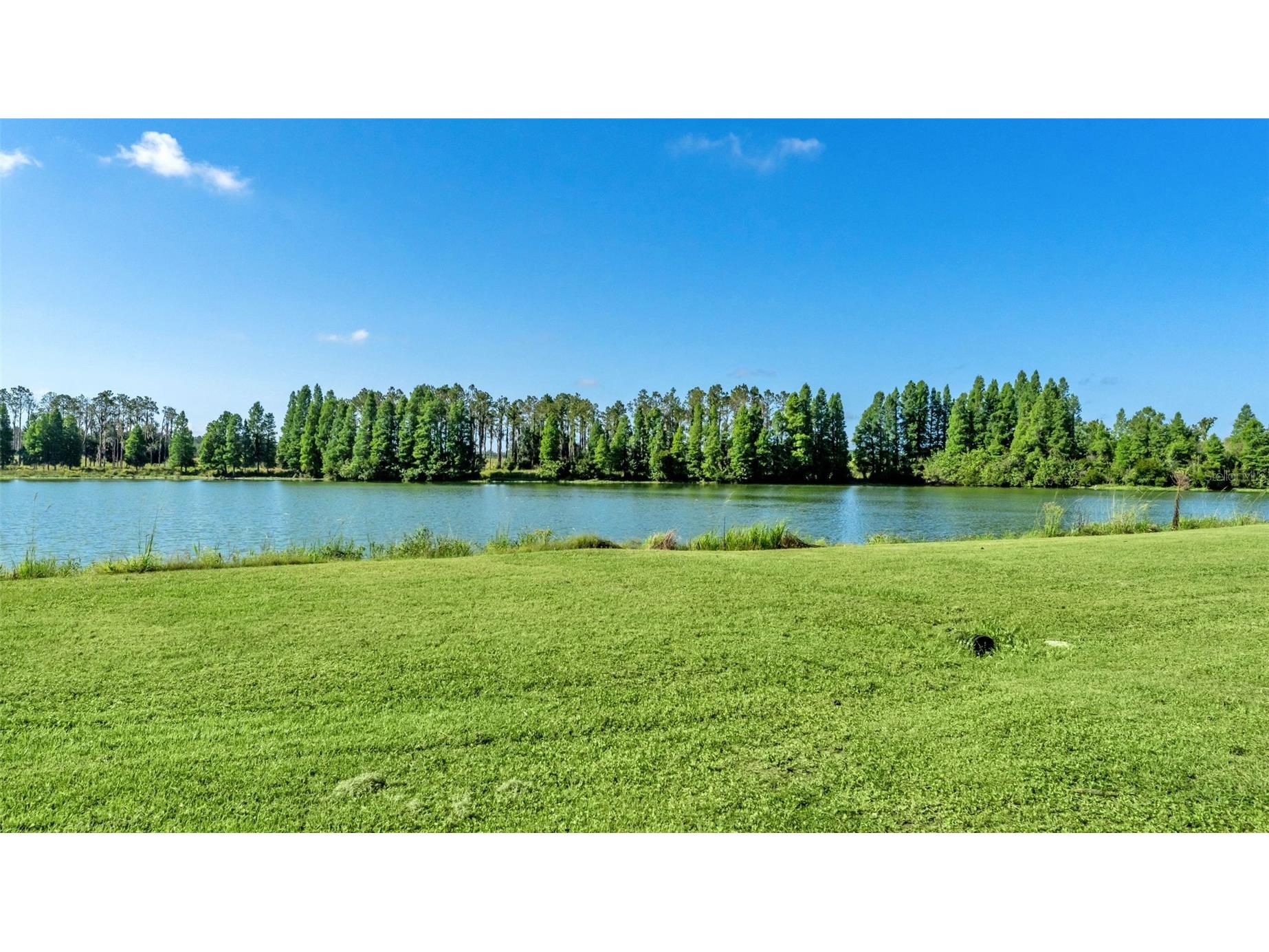 1044 Timbers Drive Fort Meade FL 33841 P4938822 image6