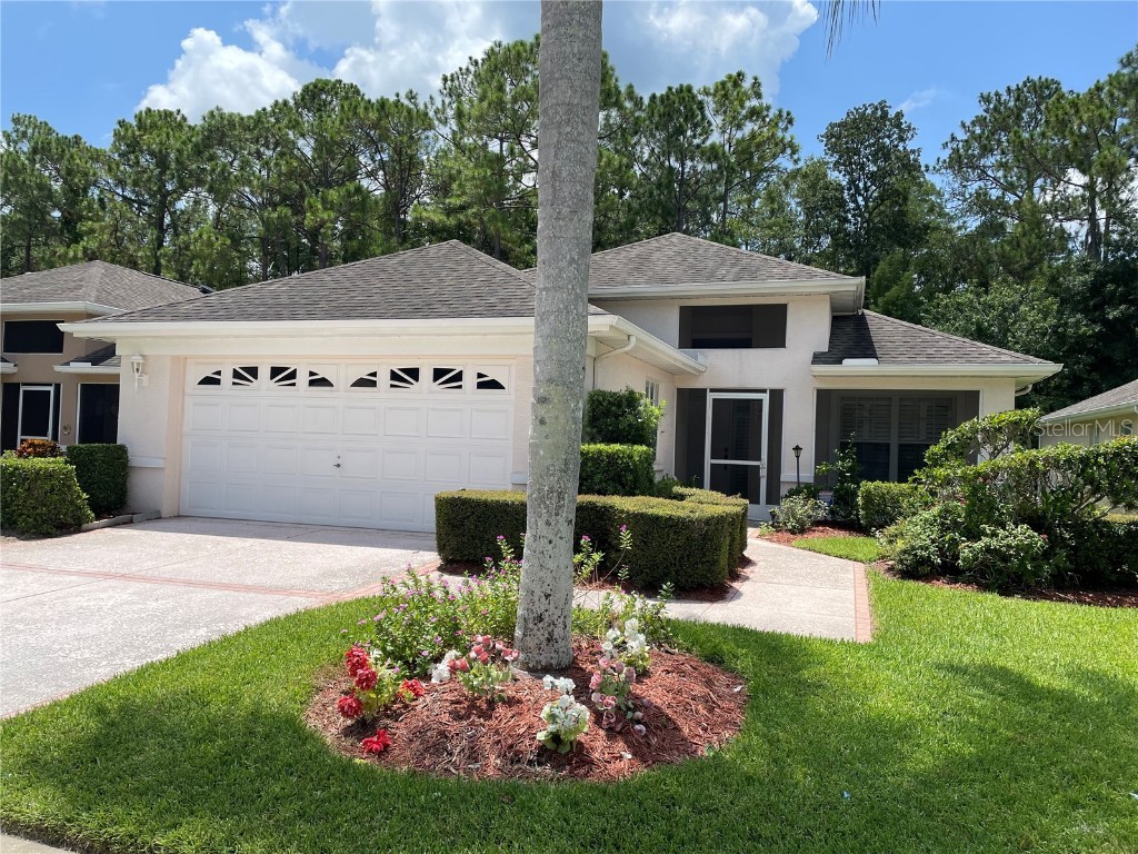 1044 Trafalgar Drive New Port Richey FL 34655 U8252805 image1