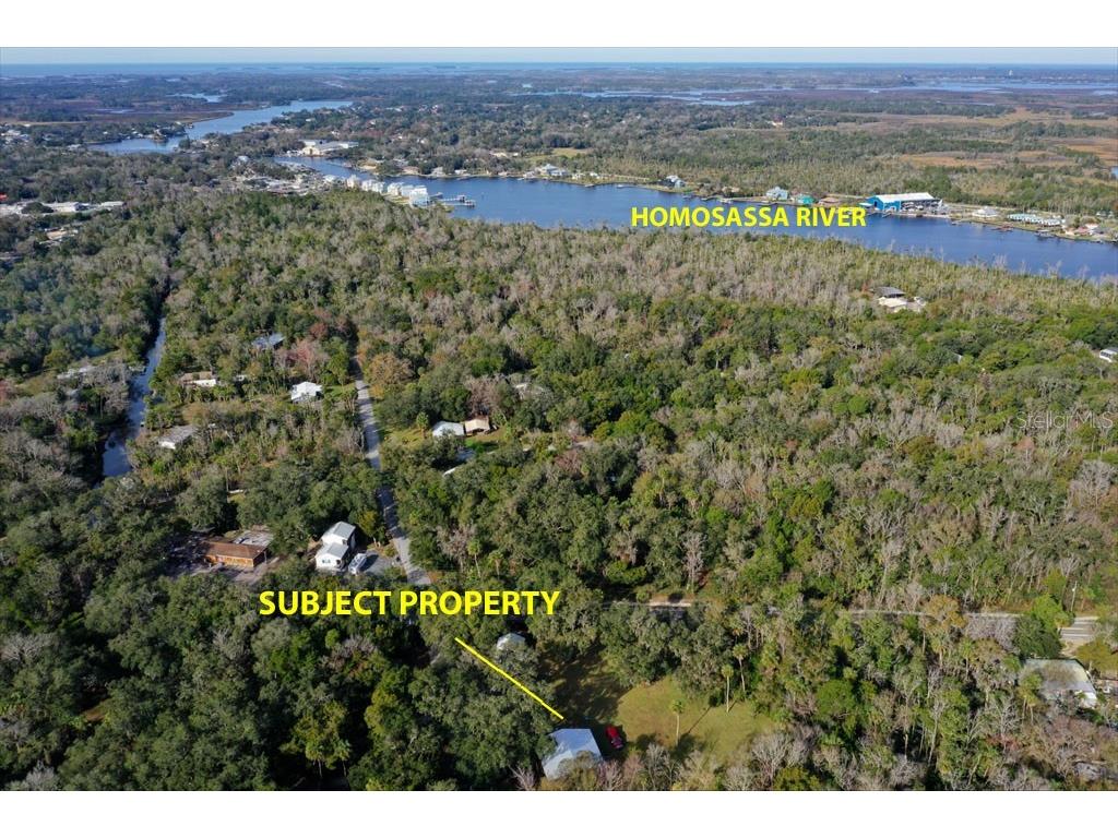 10440 W Yulee Drive Homosassa FL 34448 A4600206 image1