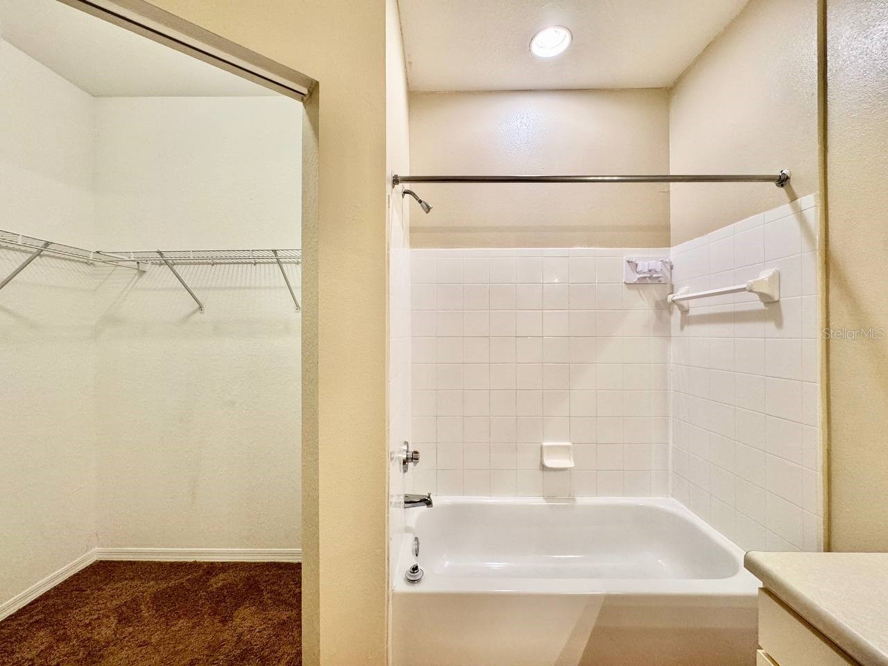 10440 White Lake Court #10440 Tampa FL 33626 TB8519807 image21