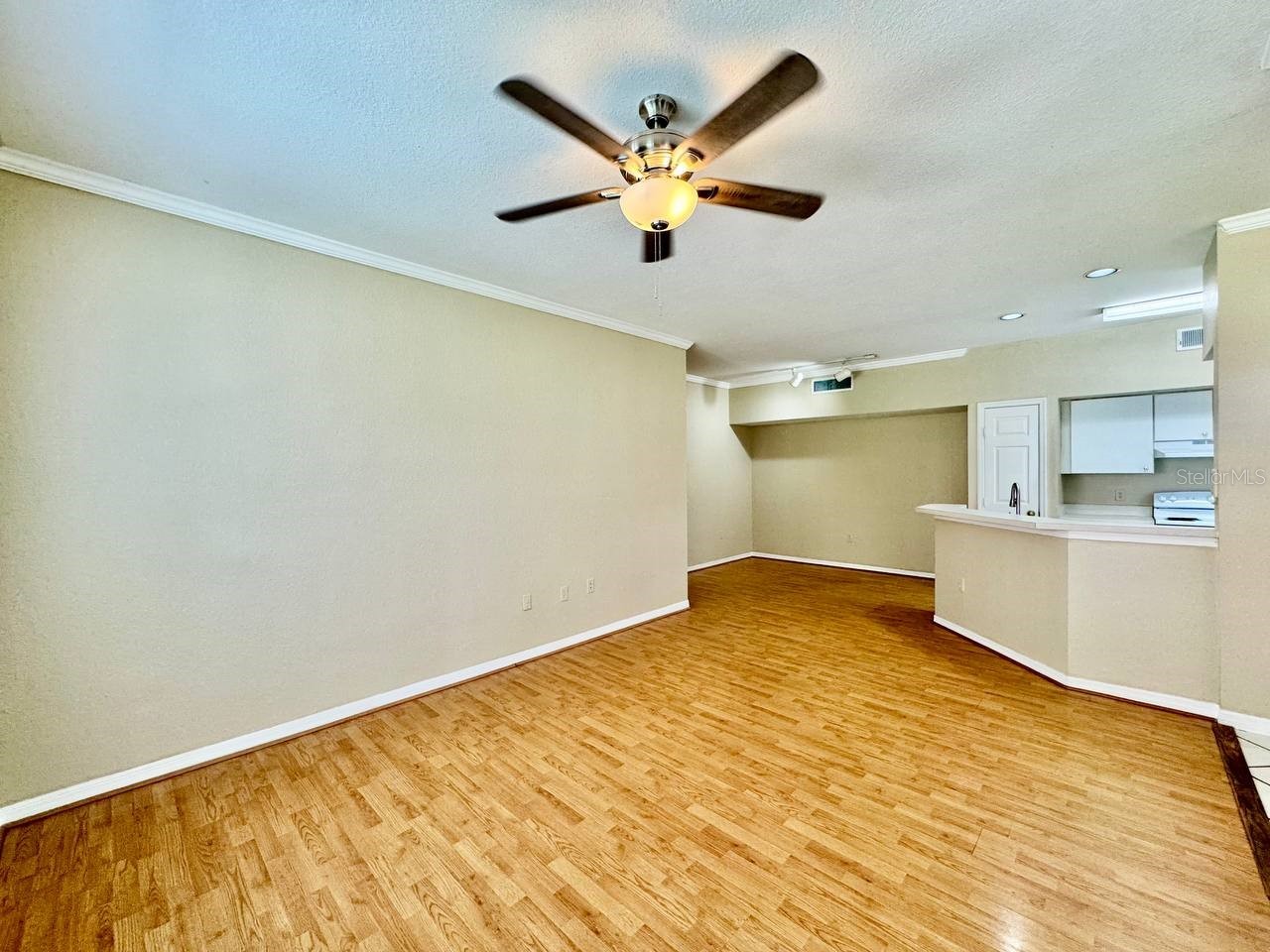 10440 White Lake Court #10440 Tampa FL 33626 TB8519807 image5