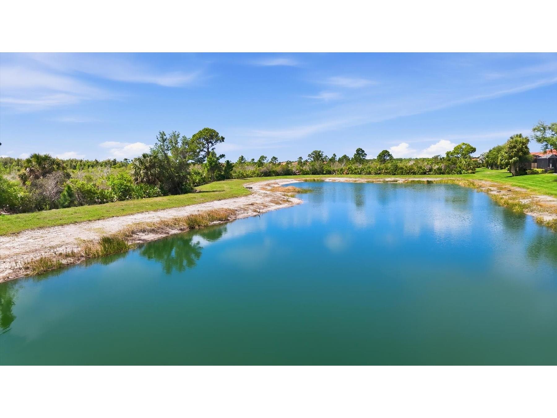 10441 Crooked Creek Drive Venice FL 34293 N6143750 image22