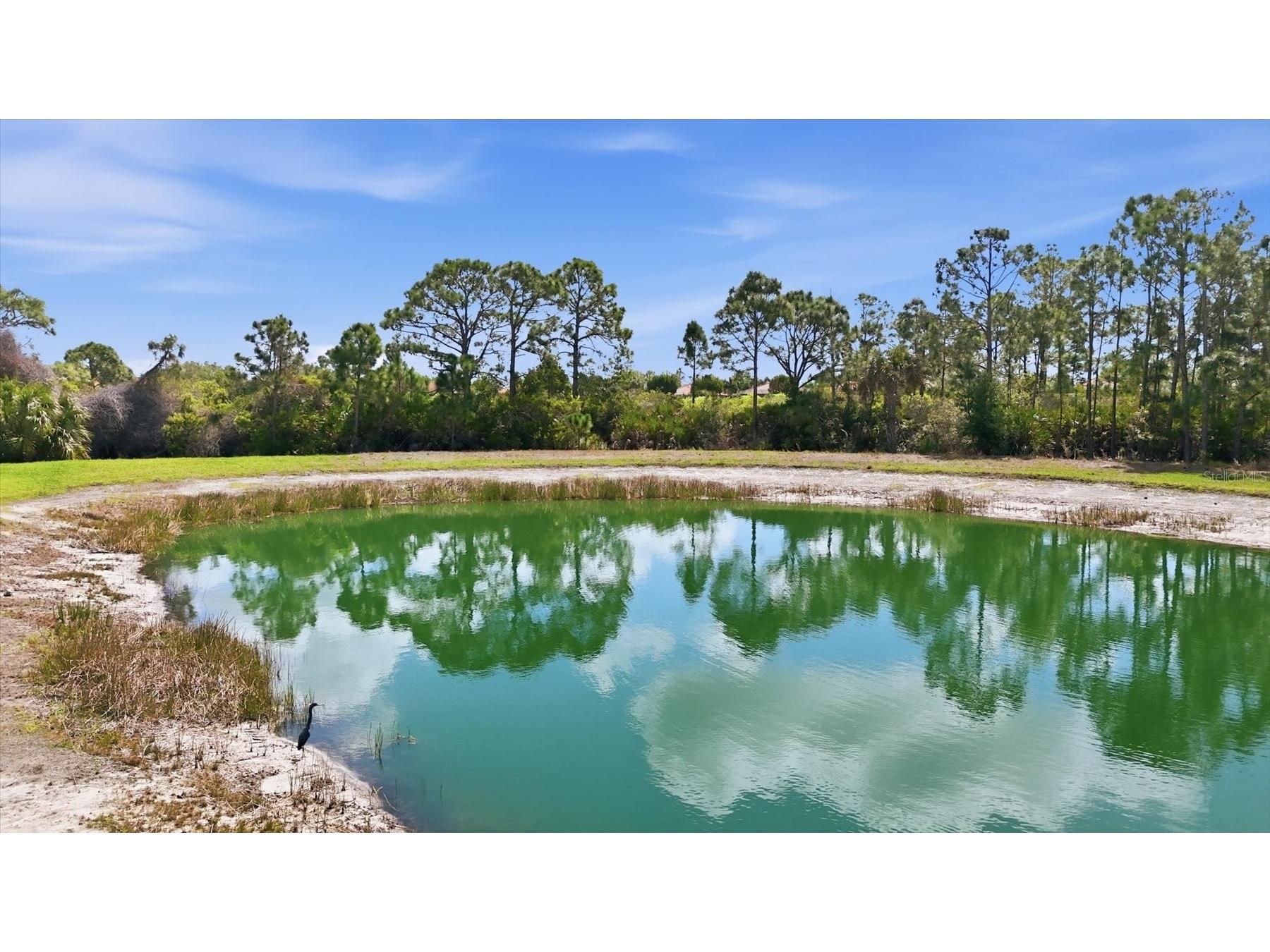 10441 Crooked Creek Drive Venice FL 34293 N6143750 image23