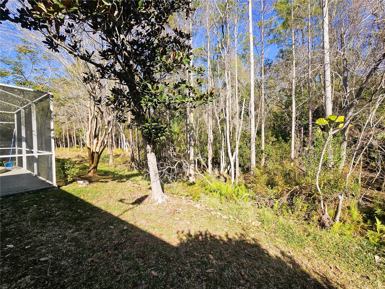 10441 Greendale Drive Tampa FL 33626 TB8462877 image28