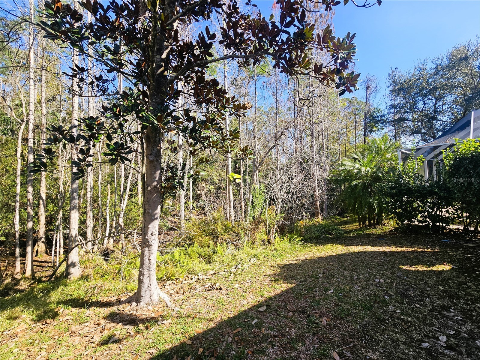 10441 Greendale Drive Tampa FL 33626 TB8462877 image29