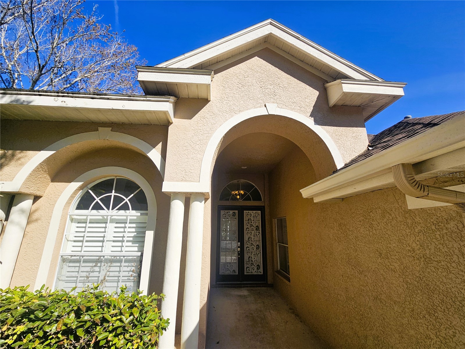 10441 Greendale Drive Tampa FL 33626 TB8462877 image3