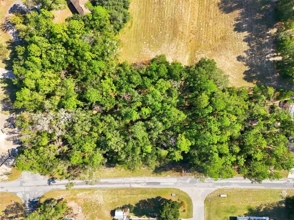 10441 N Biscayne Drive Citrus Springs FL 34434 G5104701 image2