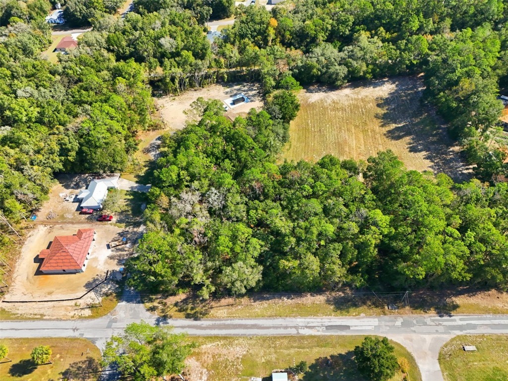 10441 N Biscayne Drive Citrus Springs FL 34434 G5104701 image3