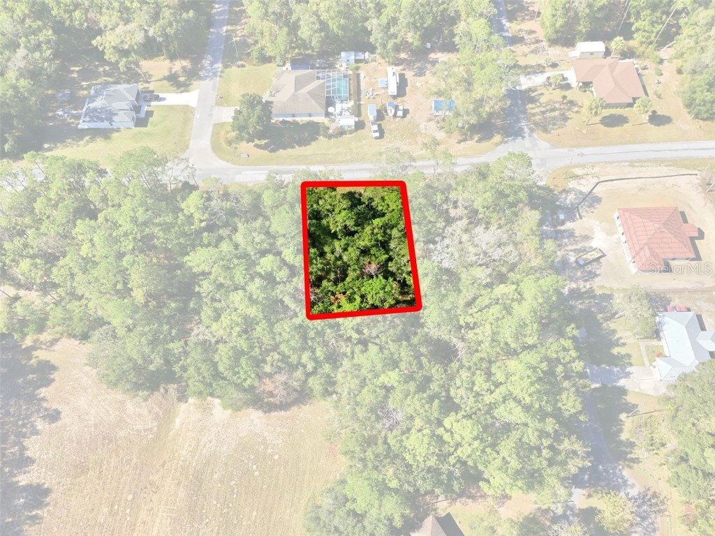 10441 N Biscayne Drive Citrus Springs FL 34434 G5104701 image4