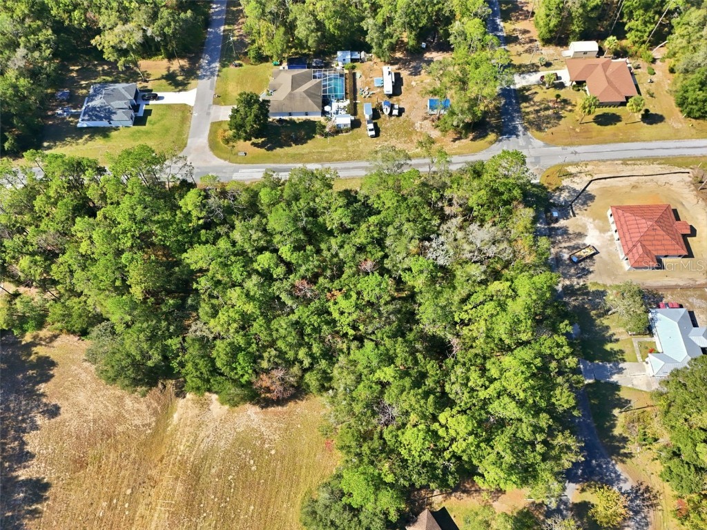 10441 N Biscayne Drive Citrus Springs FL 34434 G5104701 image5