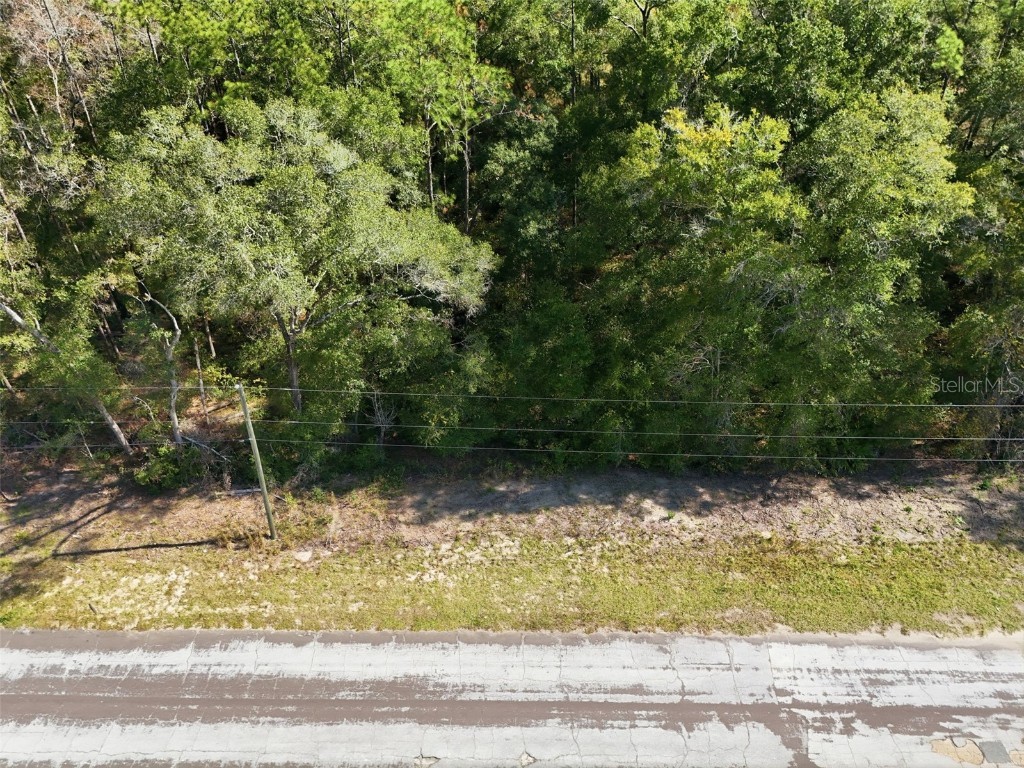 10441 N Biscayne Drive Citrus Springs FL 34434 G5104701 image7