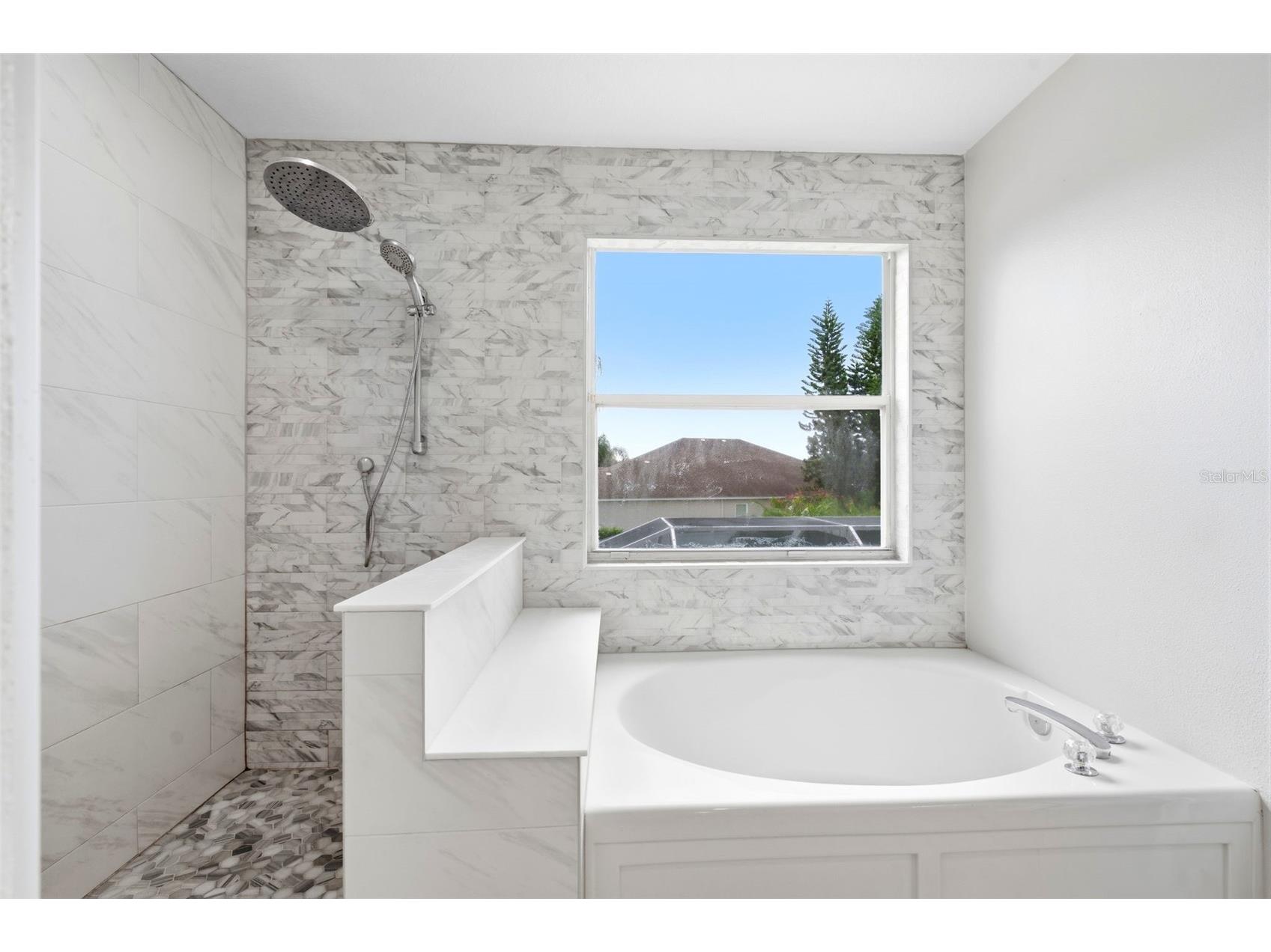 10441 Tecoma Drive Trinity FL 34655 W7887382 image44
