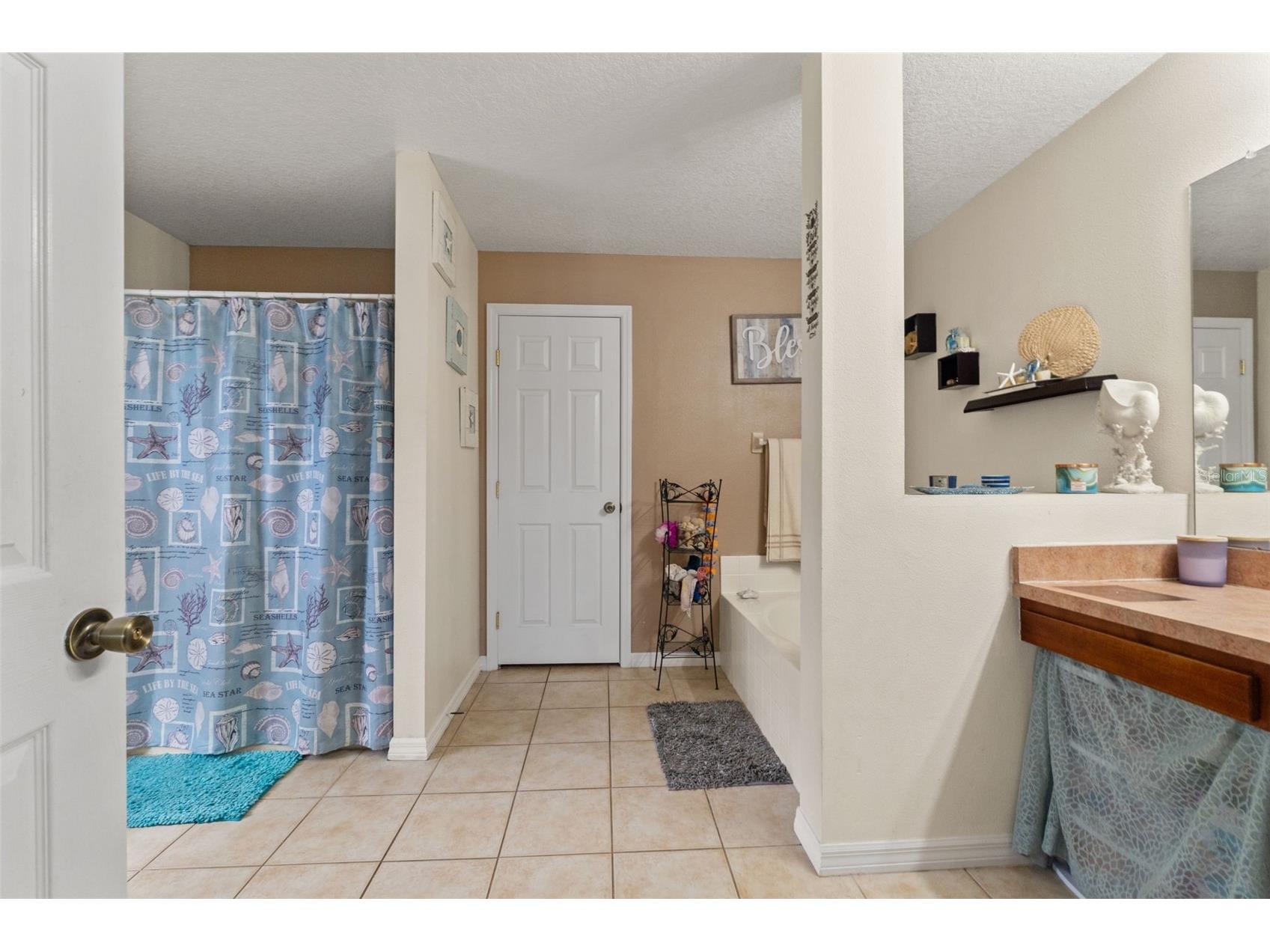 10442 Lansfield Street Spring Hill FL 34608 W7884472 image13