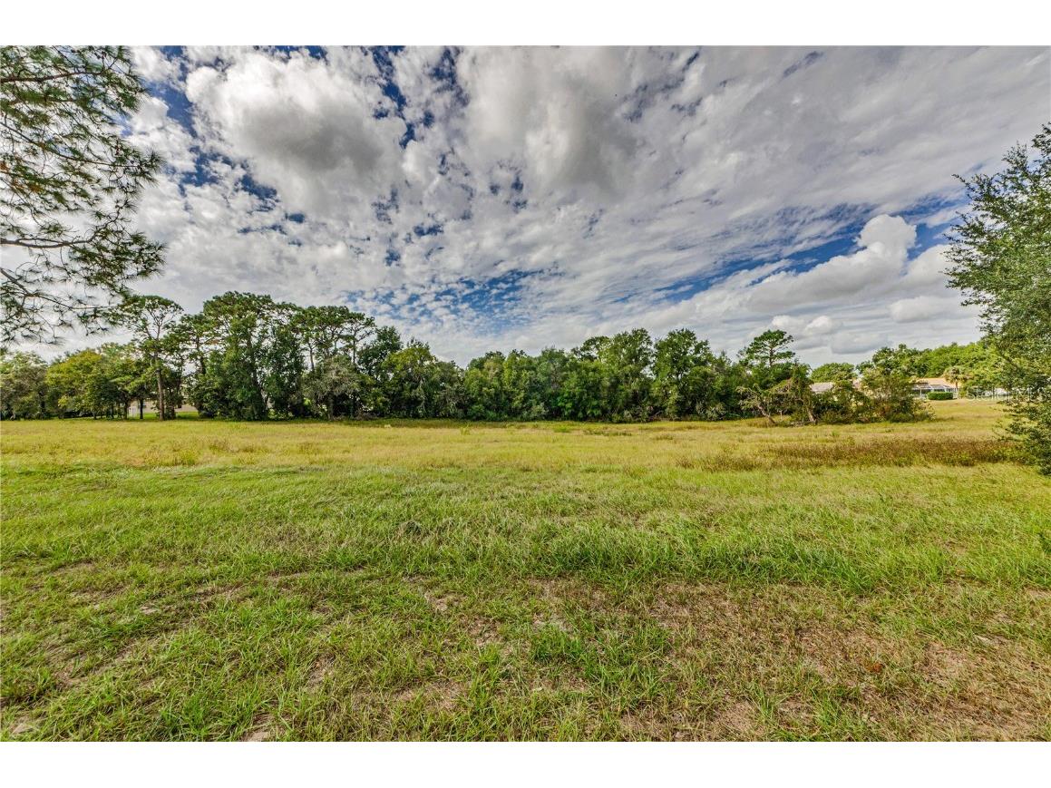 10443 Casa Grande Circle Spring Hill FL 34608 TB8432140 image4