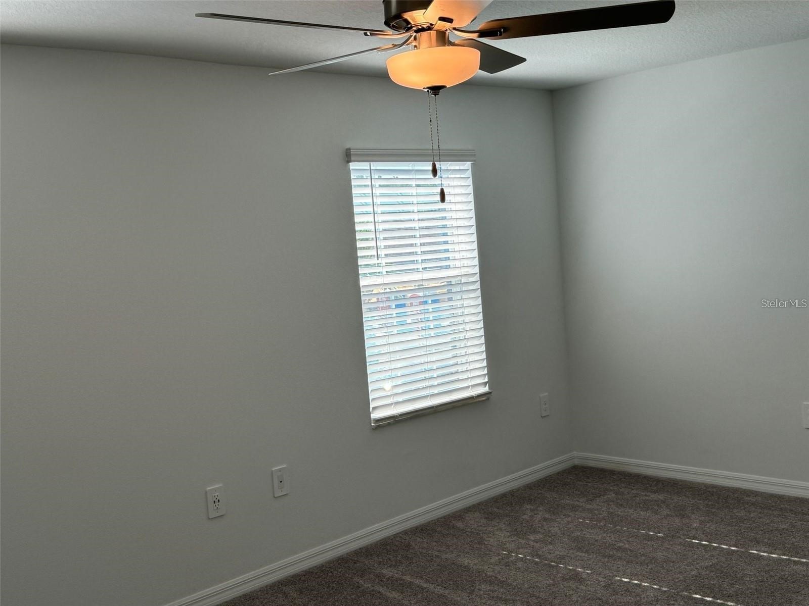 10443 Lavender Aster Trail San Antonio FL 33576 TB8507039 image10