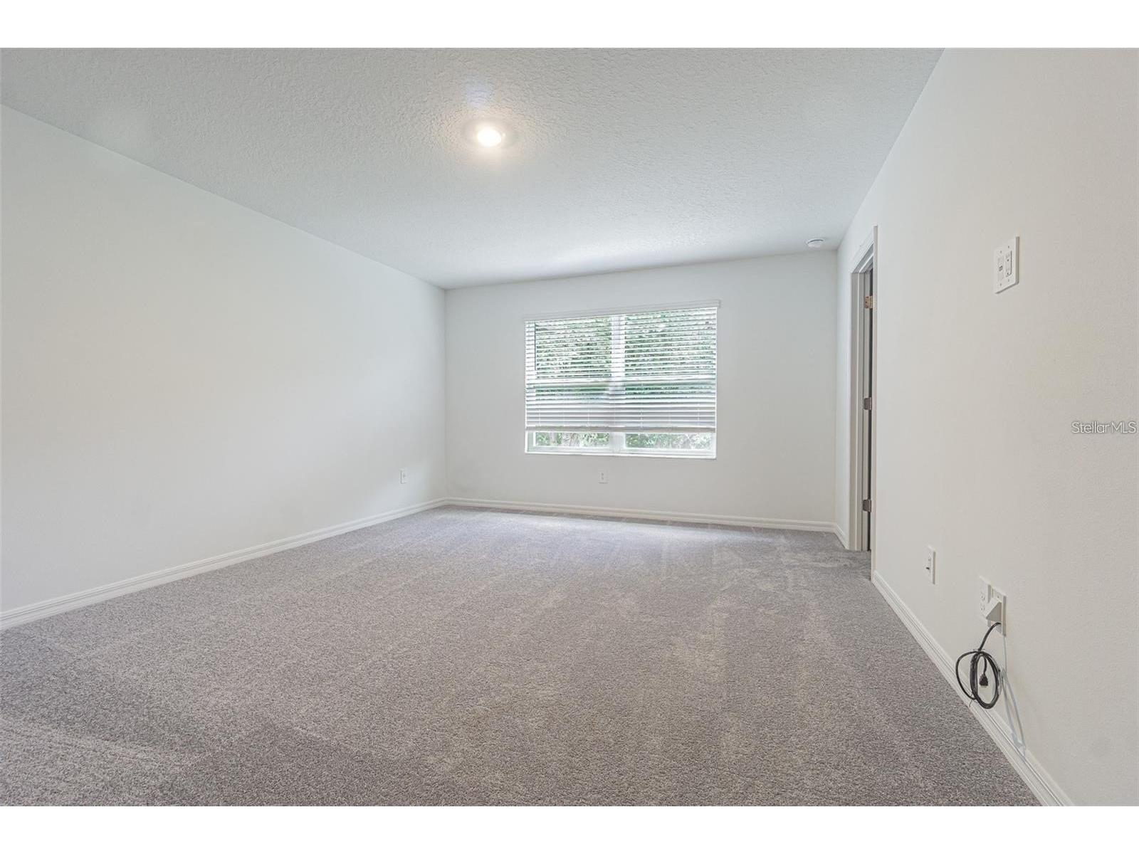 10443 Lavender Aster Trail San Antonio FL 33576 TB8507039 image5