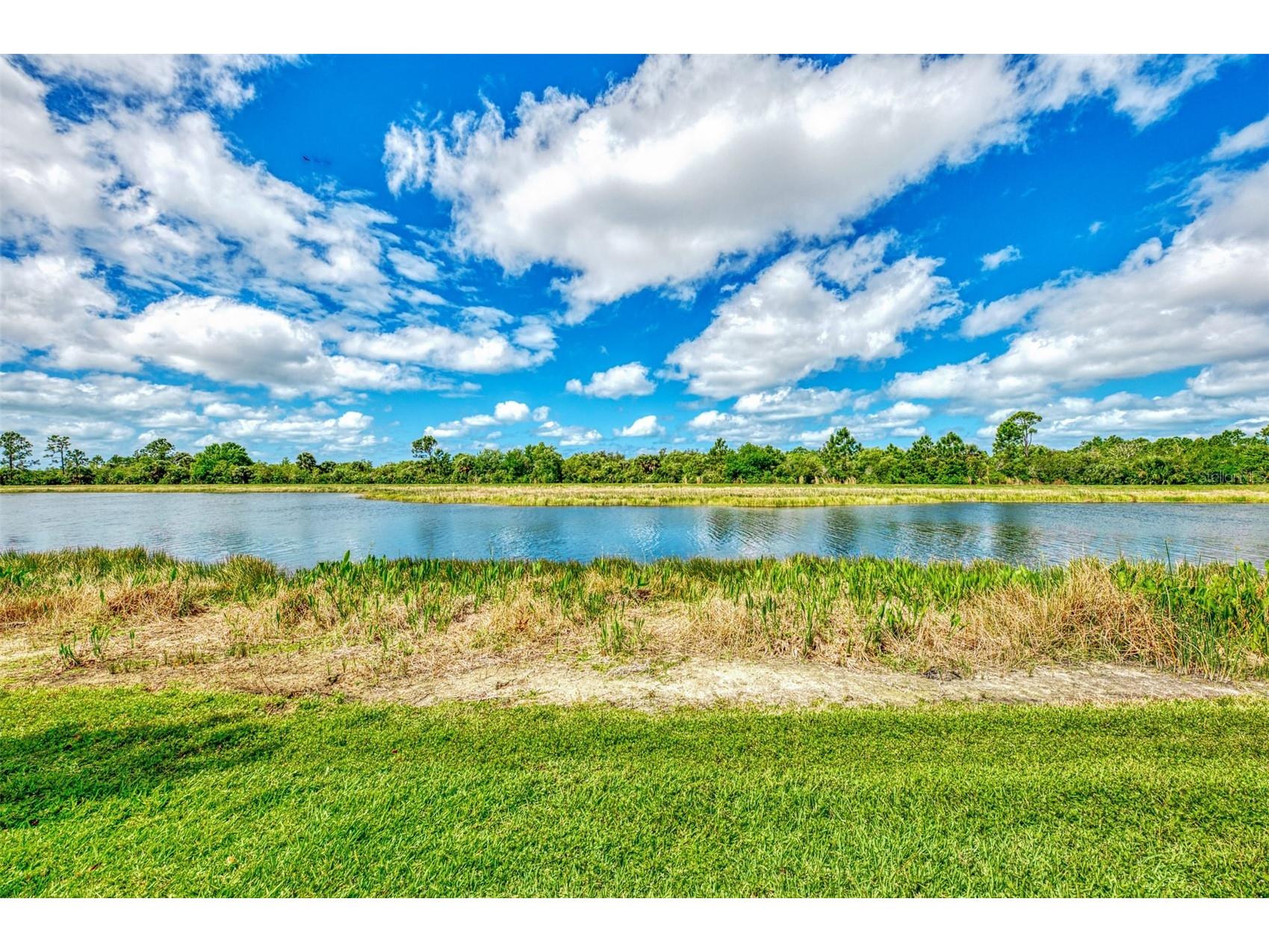 10443 Medjool Drive Venice FL 34293 N6143234 image46
