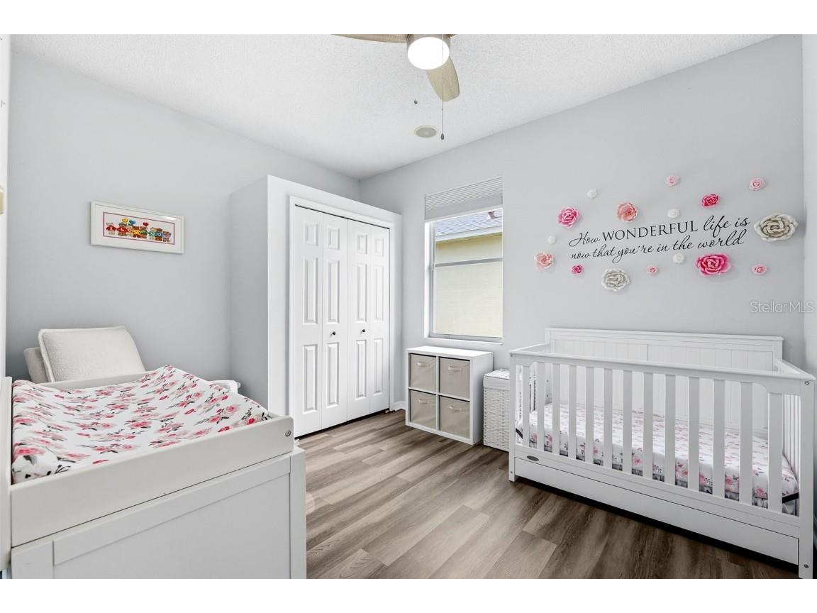 10443 Peppergrass Court Trinity FL 34655 W7878826 image39