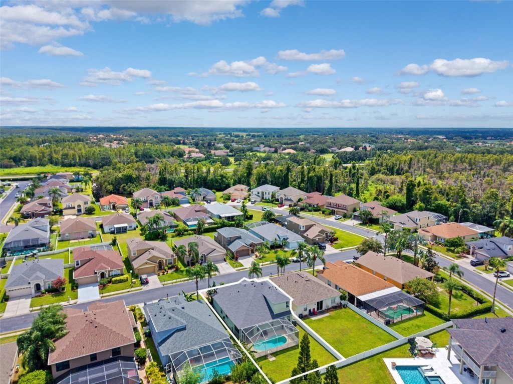 10443 Peppergrass Court Trinity FL 34655 W7878826 image54