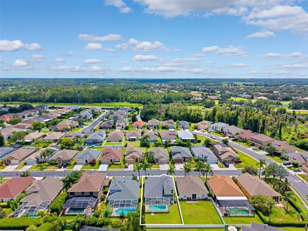 10443 Peppergrass Court Trinity FL 34655 W7878826 image55