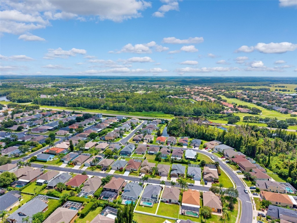 10443 Peppergrass Court Trinity FL 34655 W7878826 image56