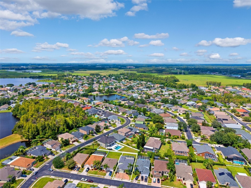 10443 Peppergrass Court Trinity FL 34655 W7878826 image57