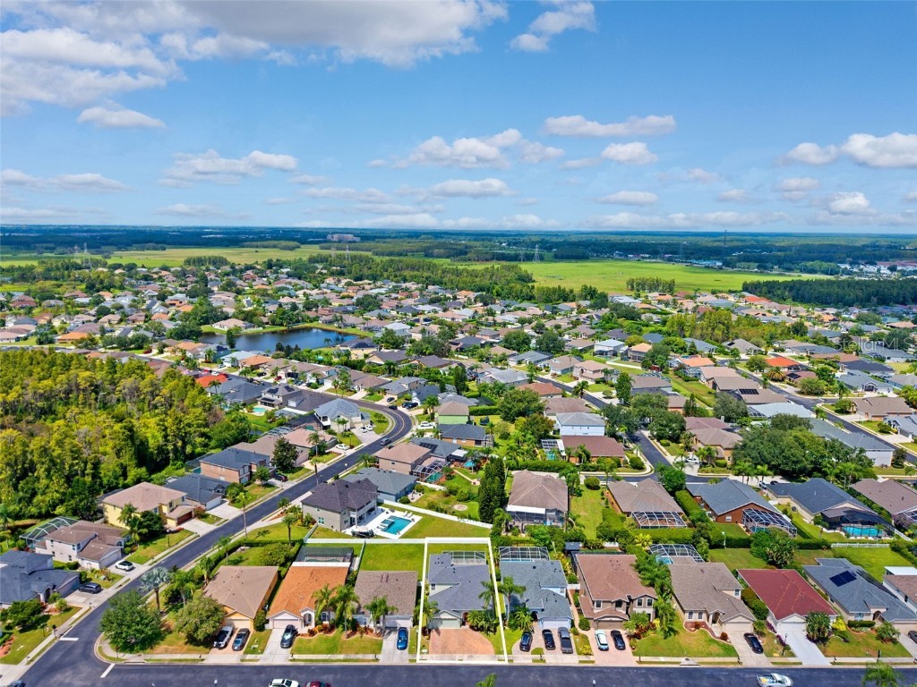 10443 Peppergrass Court Trinity FL 34655 W7878826 image59