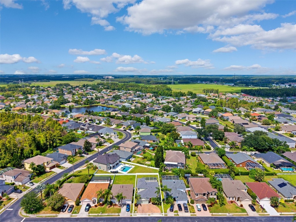 10443 Peppergrass Court Trinity FL 34655 W7878826 image60