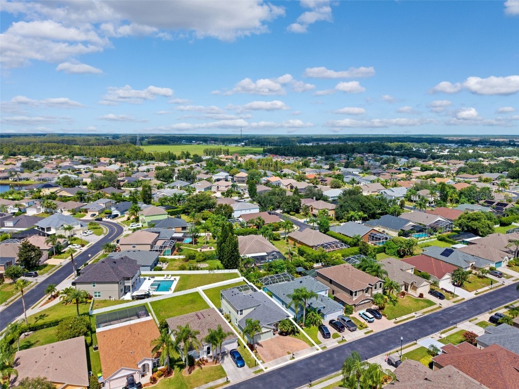 10443 Peppergrass Court Trinity FL 34655 W7878826 image61