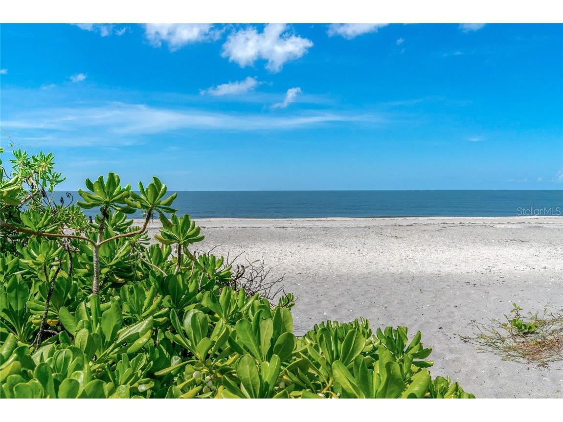 10444 Marion Street Englewood FL 34224 - LEMON BAY INTRACOASTAL WATERWAY N6138386 image13