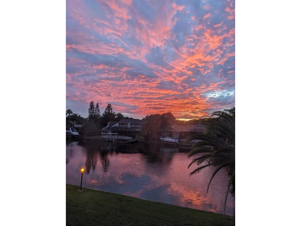 10444 Saint Tropez Place Tampa FL 33615 TB8452912 image7