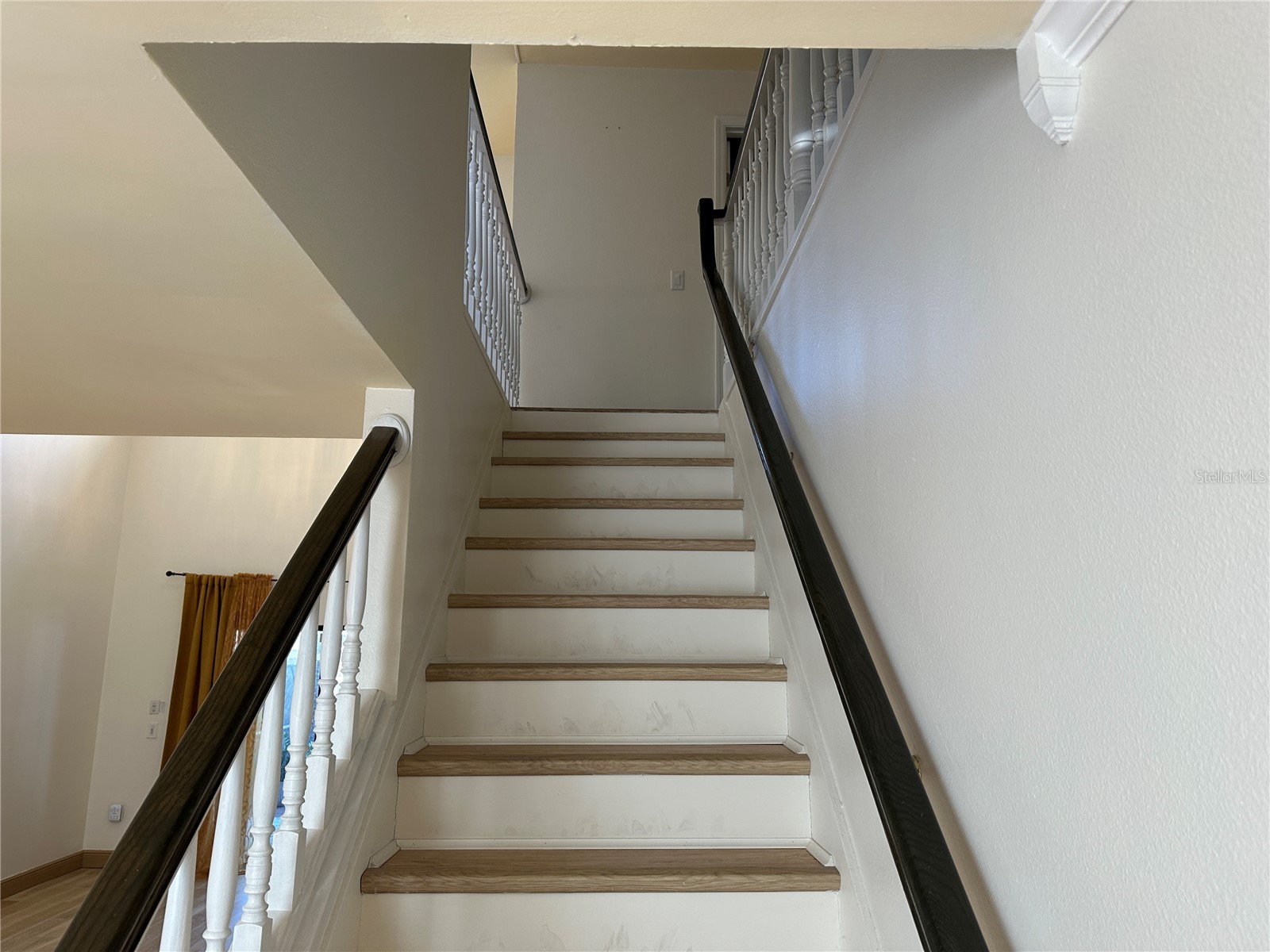 10444 Saint Tropez Place Tampa FL 33615 TB8483026 image11