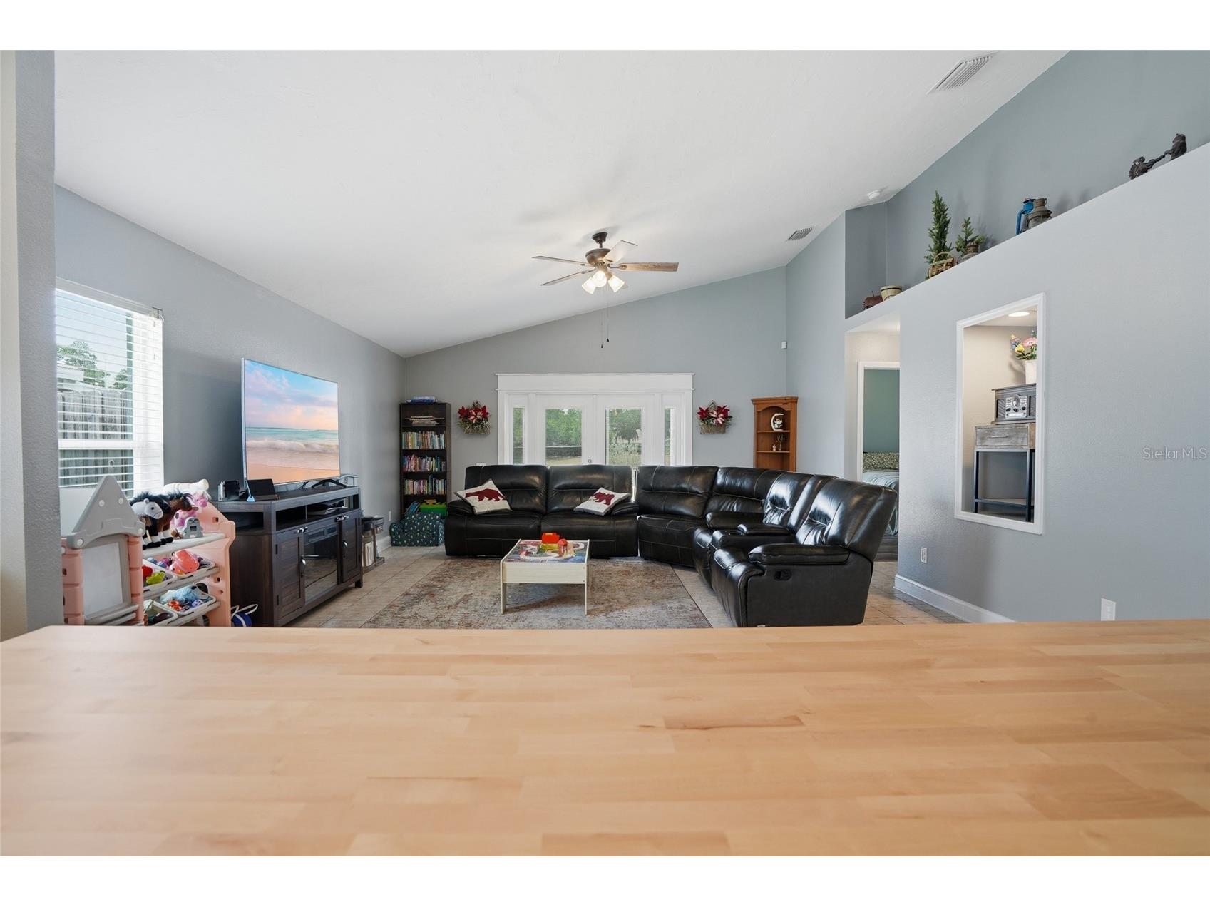 10446 Hallmark Boulevard Riverview FL 33578 TB8507487 image10