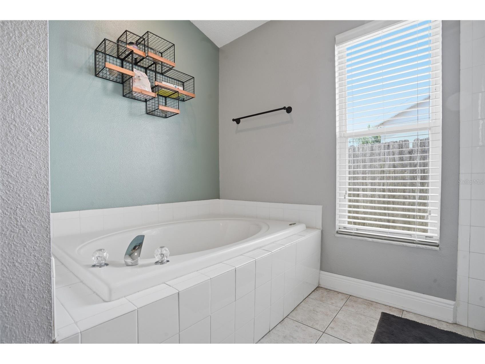 10446 Hallmark Boulevard Riverview FL 33578 TB8507487 image21