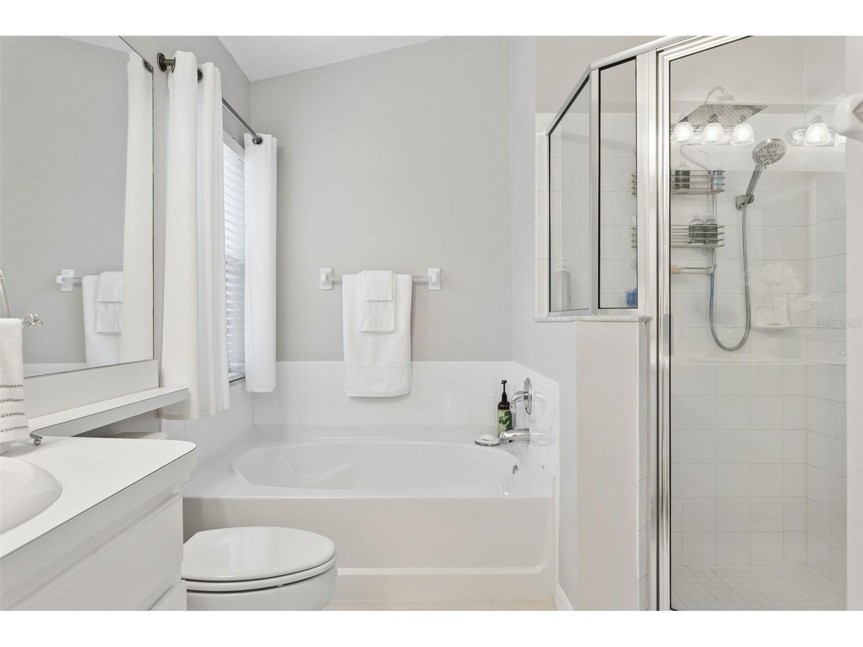 10446 Lucaya Drive Tampa FL 33647 TB8508754 image26