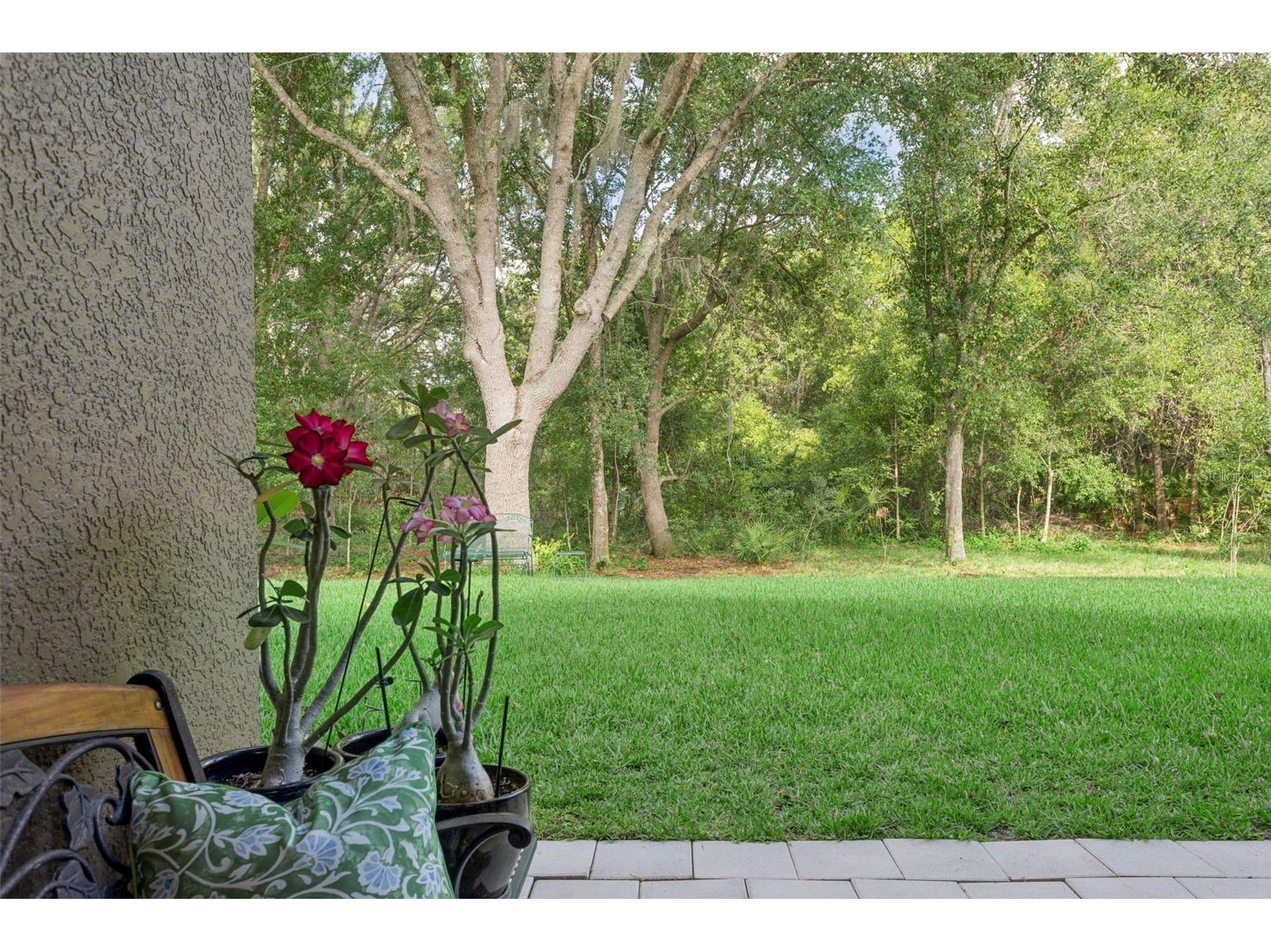 10446 Lucaya Drive Tampa FL 33647 TB8508754 image32