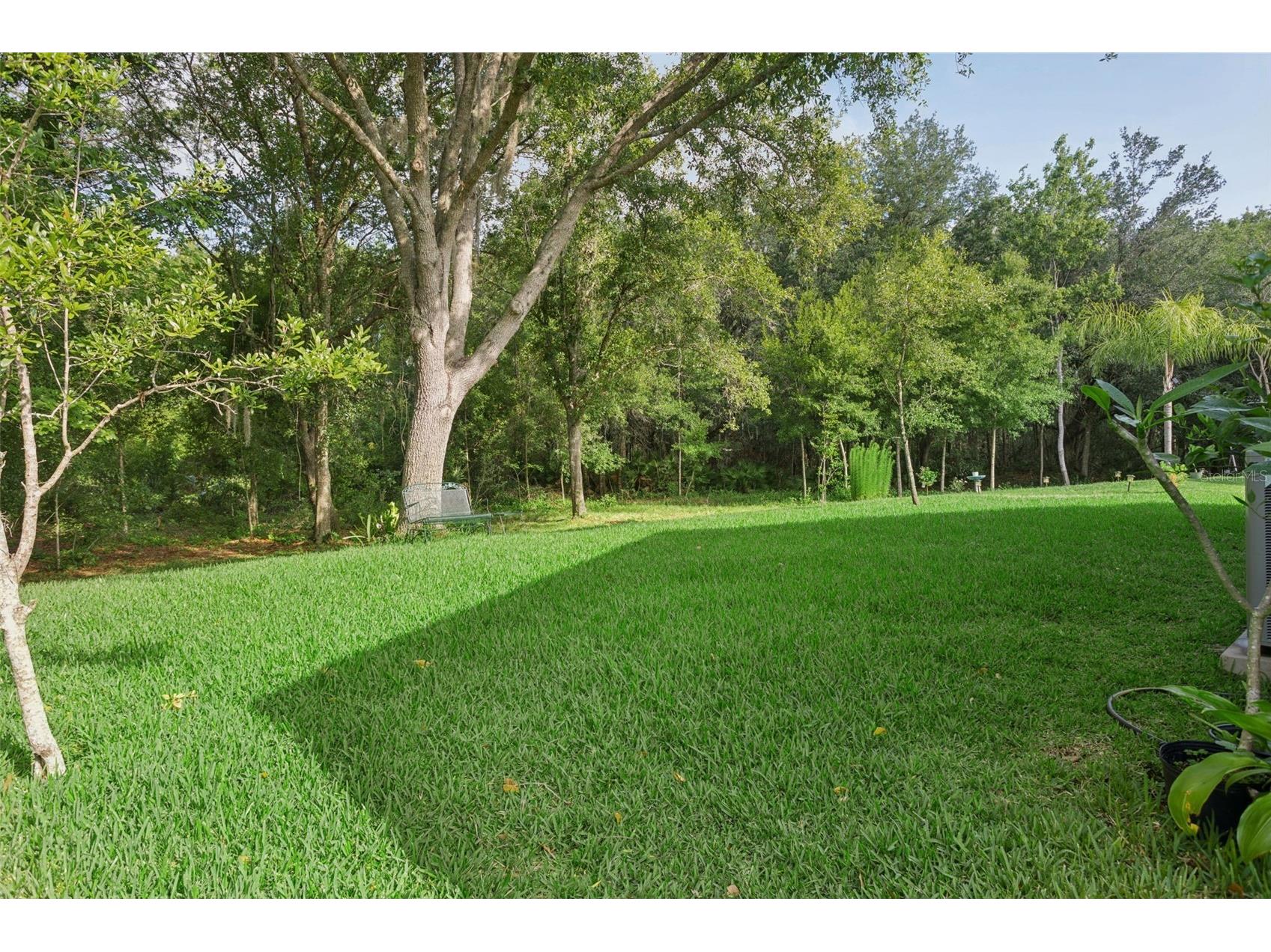 10446 Lucaya Drive Tampa FL 33647 TB8508754 image33