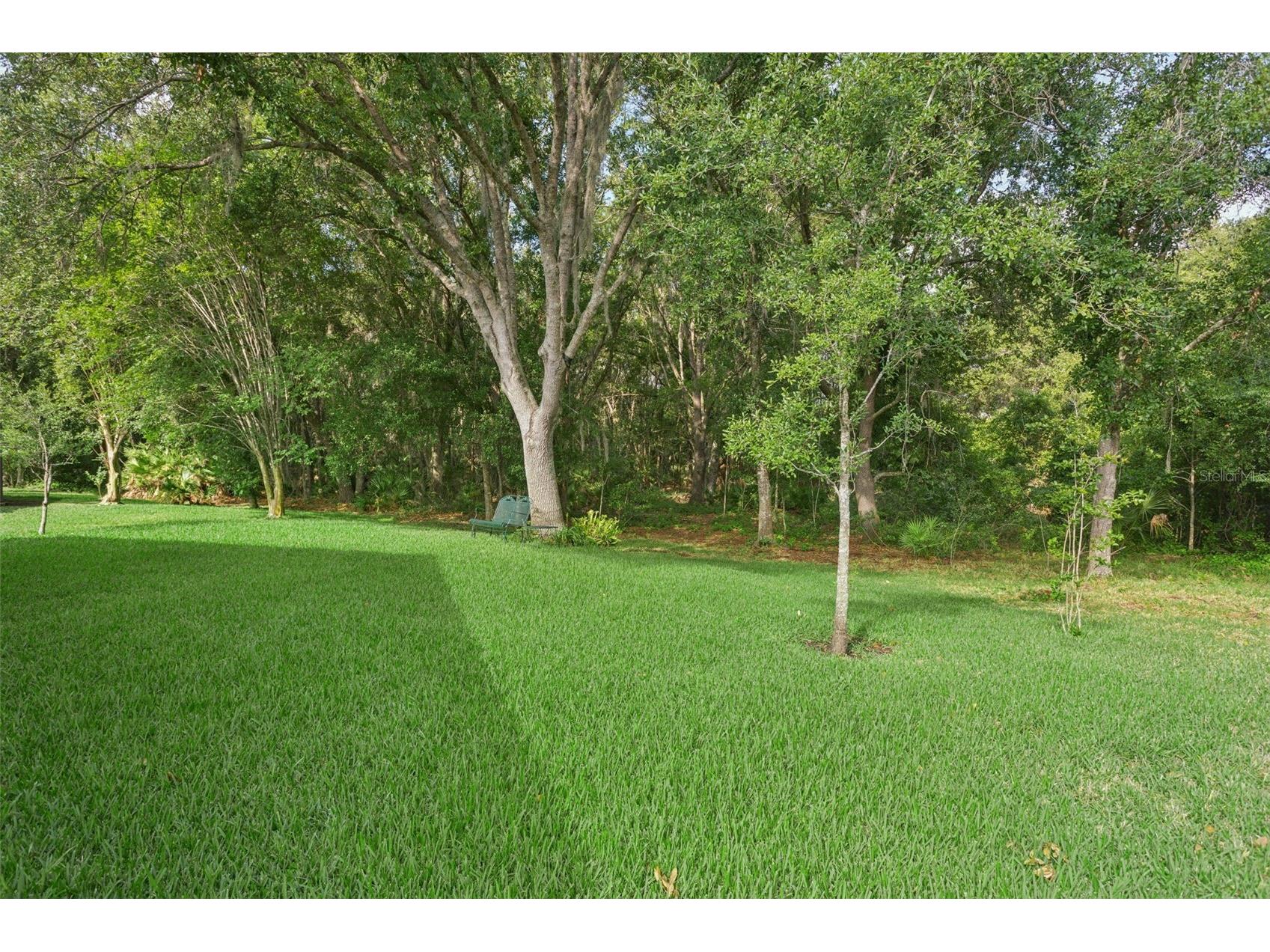 10446 Lucaya Drive Tampa FL 33647 TB8508754 image34