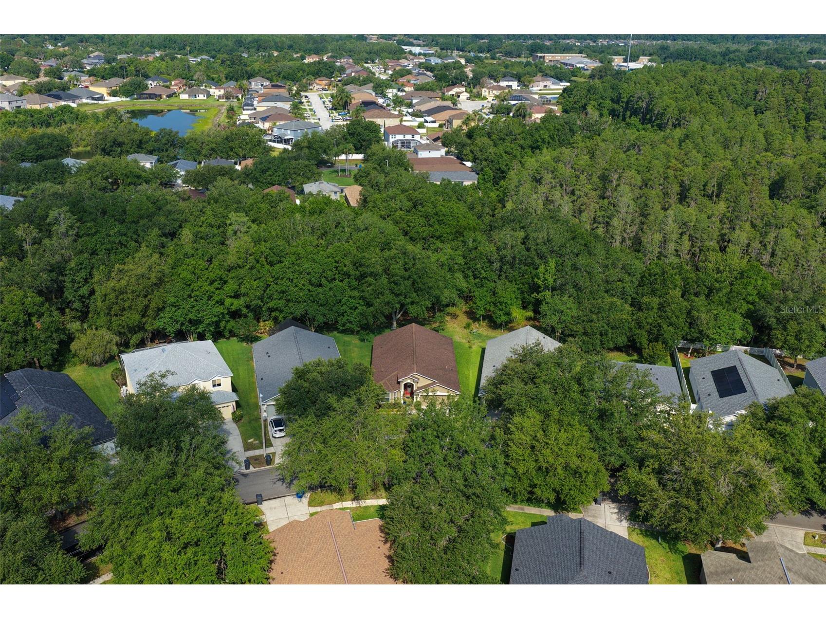 10446 Lucaya Drive Tampa FL 33647 TB8508754 image37