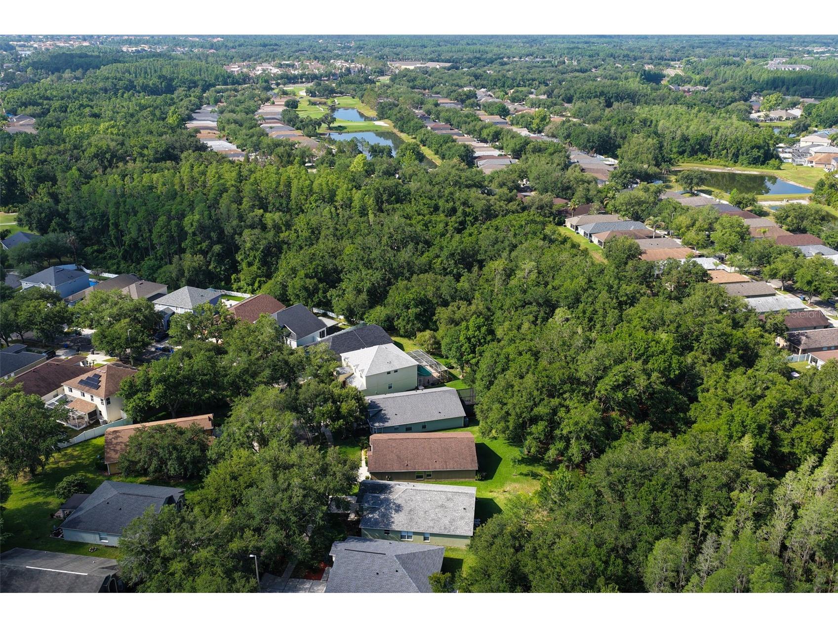 10446 Lucaya Drive Tampa FL 33647 TB8508754 image39