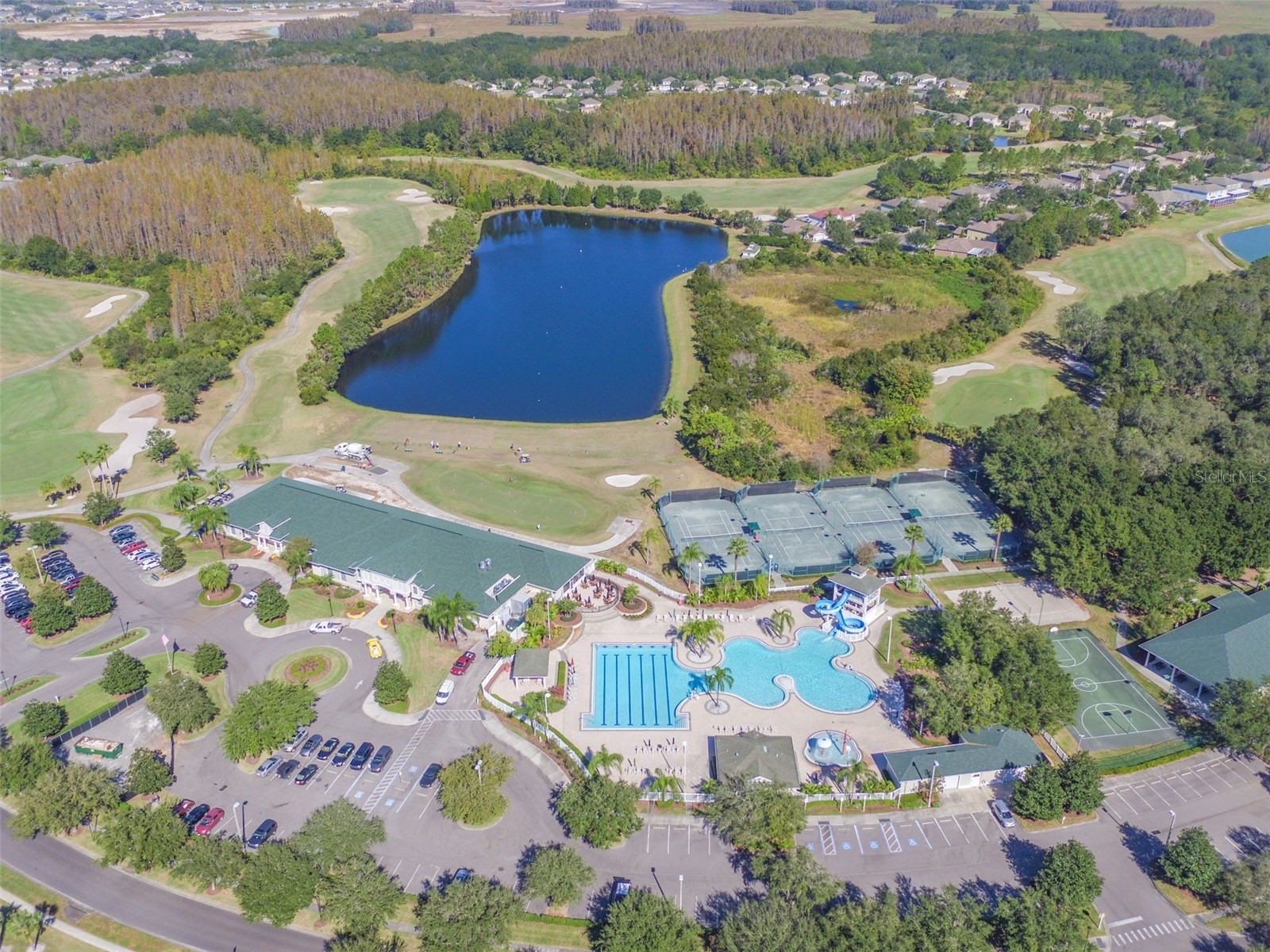 10446 Lucaya Drive Tampa FL 33647 TB8508754 image45