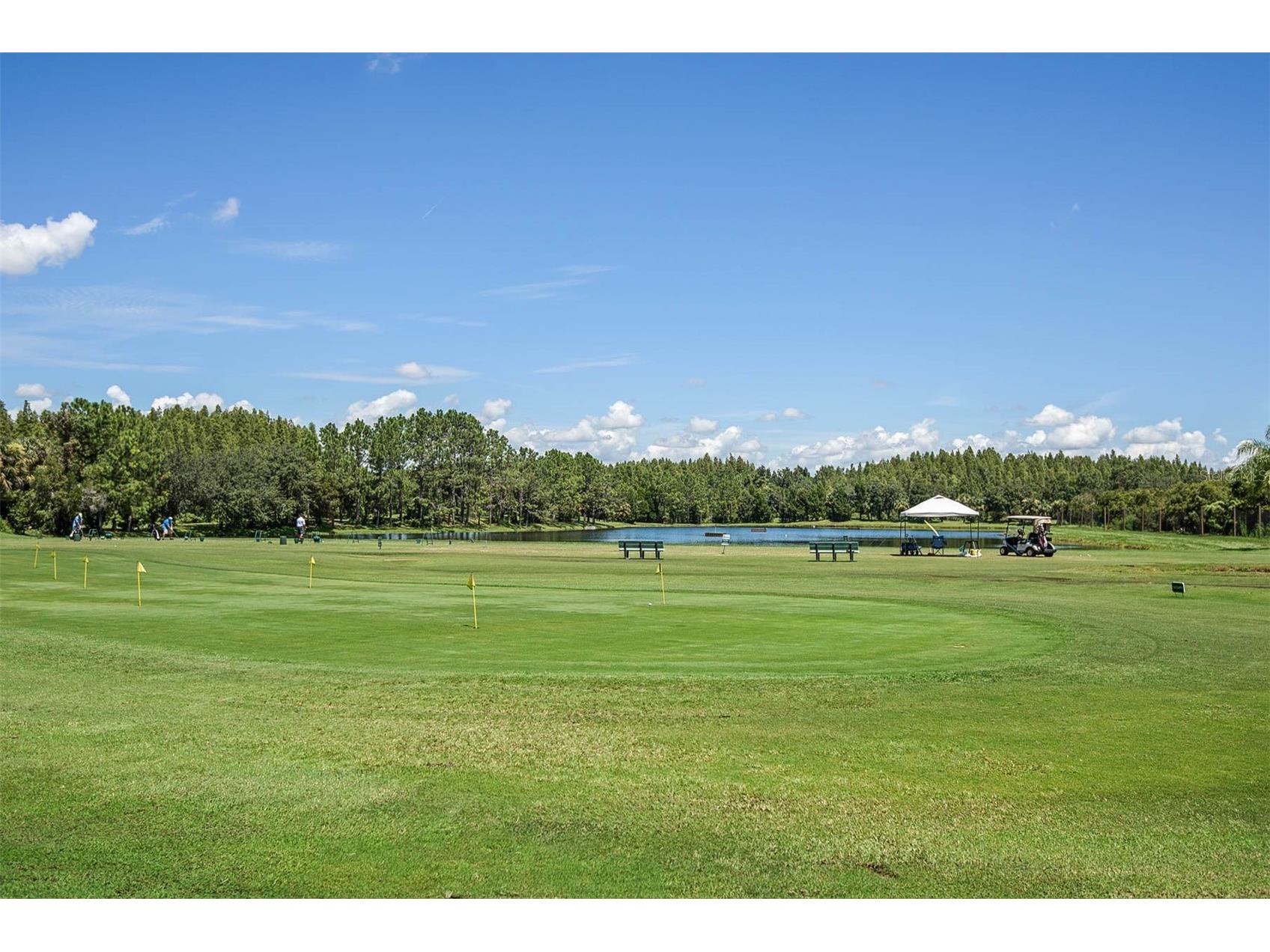 10446 Lucaya Drive Tampa FL 33647 TB8508754 image48