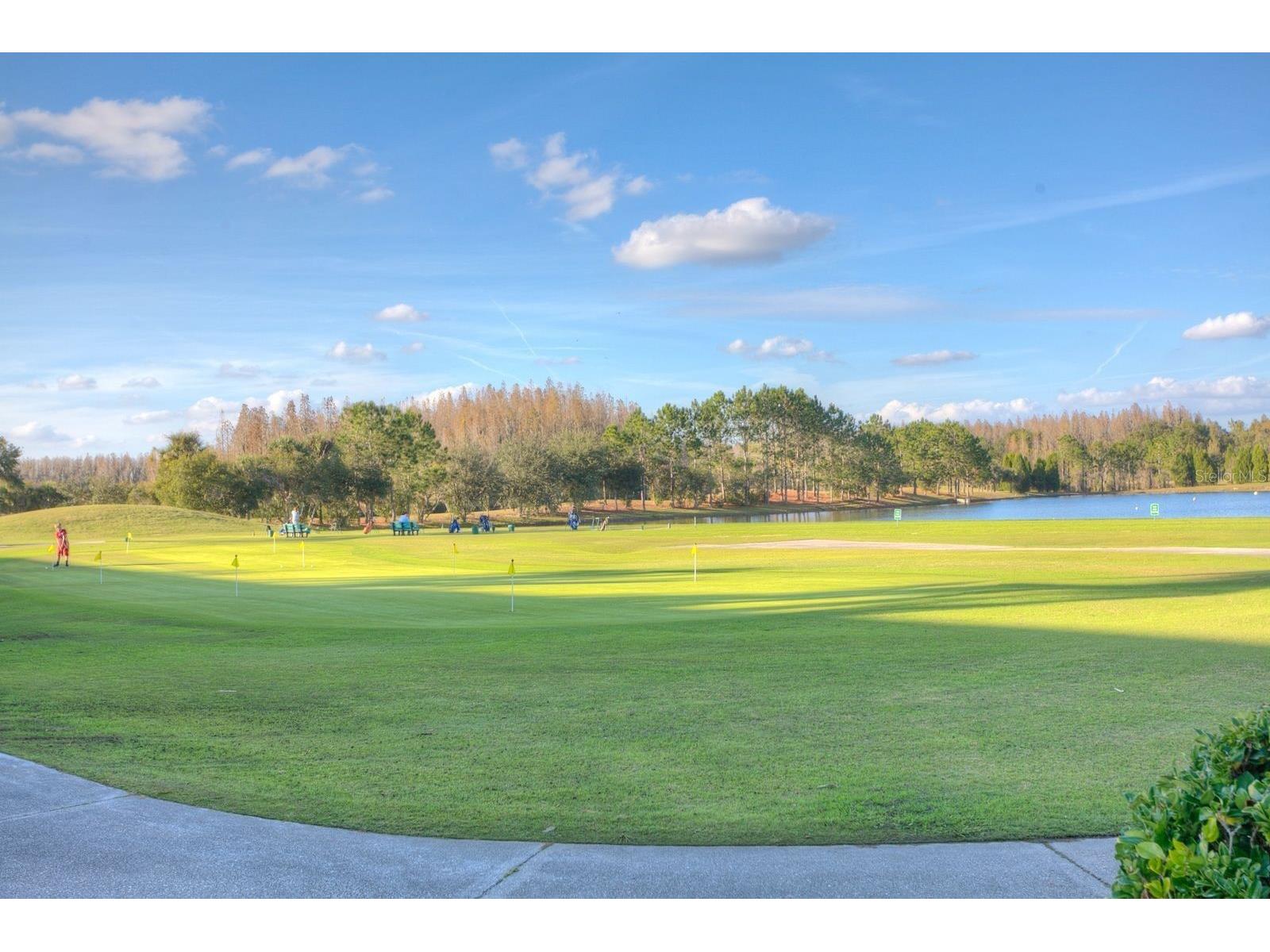 10446 Lucaya Drive Tampa FL 33647 TB8508754 image49