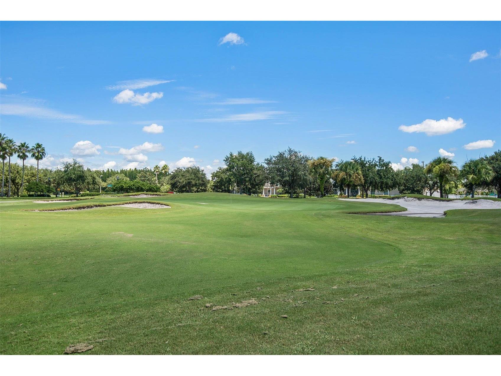 10446 Lucaya Drive Tampa FL 33647 TB8508754 image50