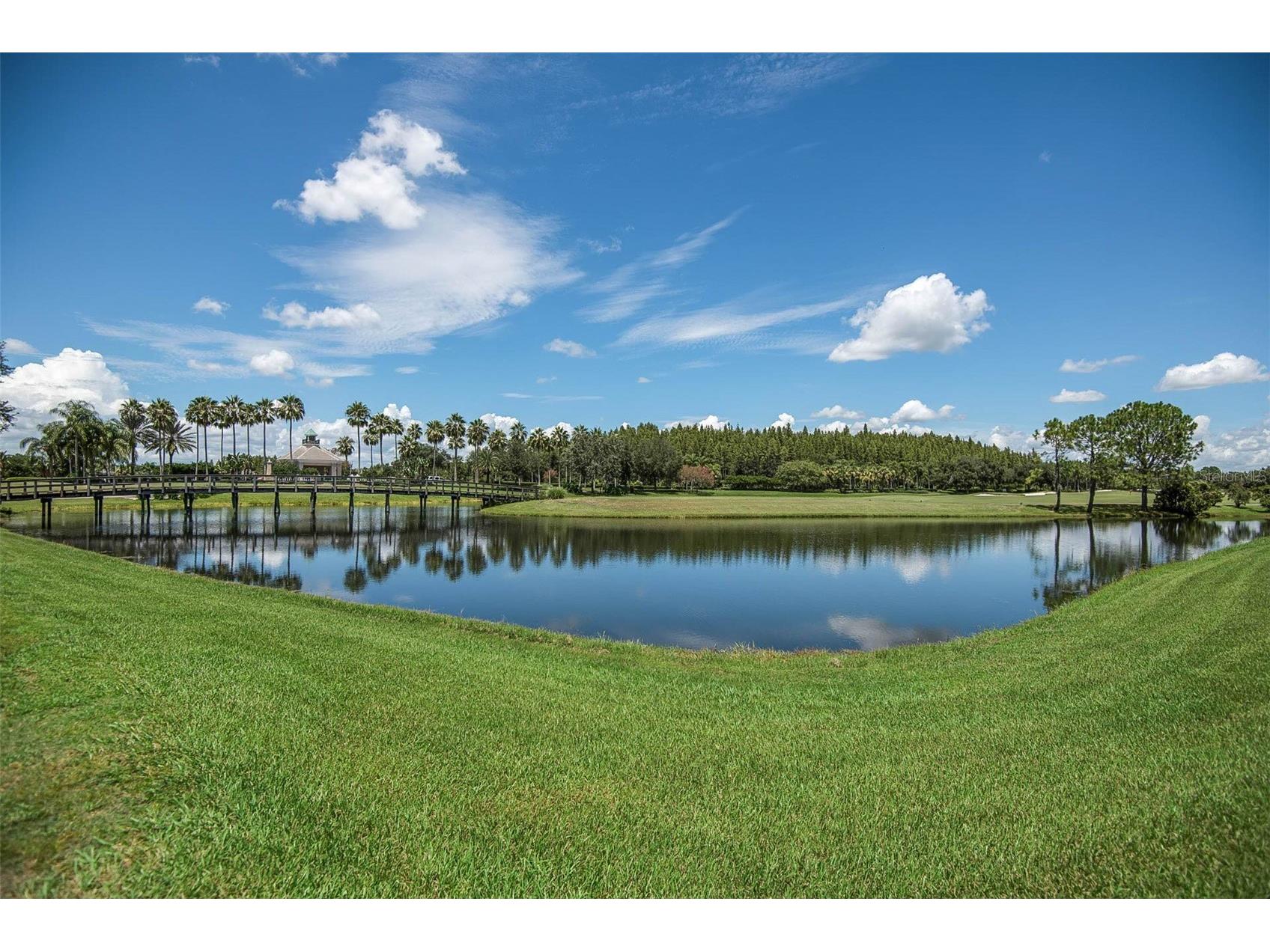 10446 Lucaya Drive Tampa FL 33647 TB8508754 image51