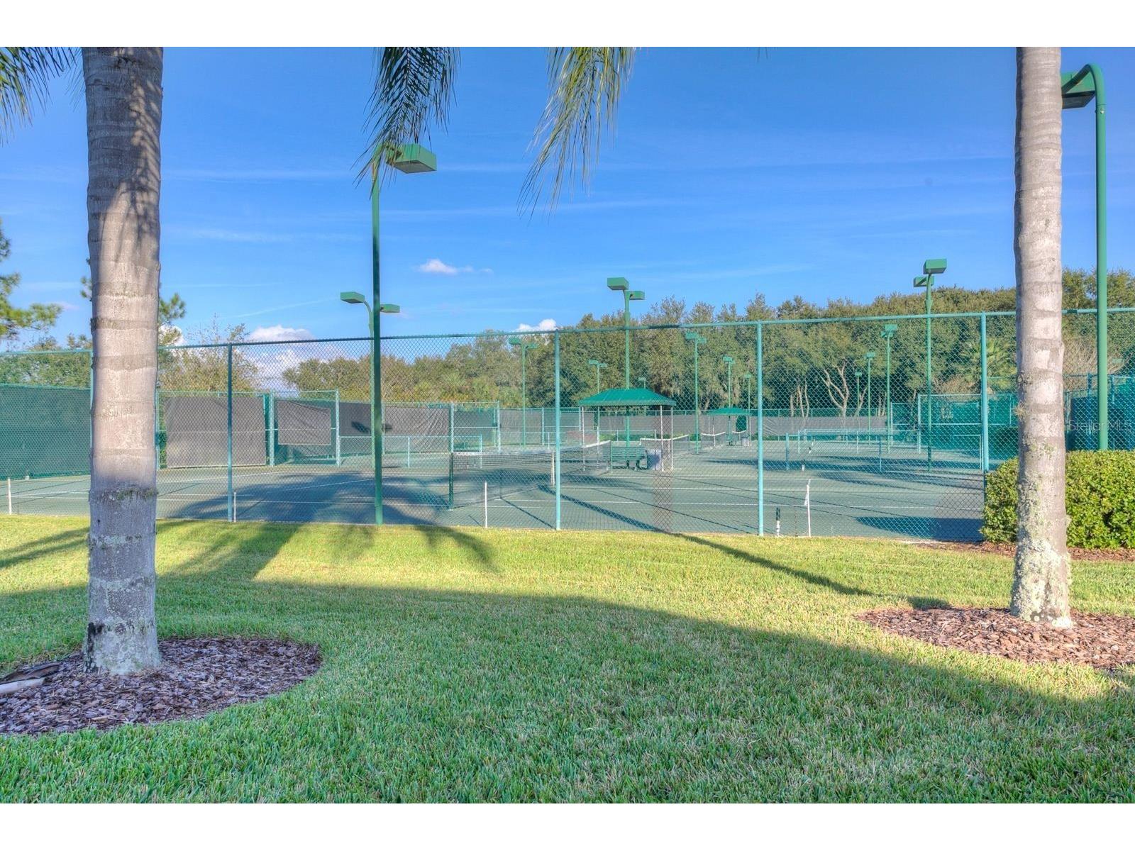 10446 Lucaya Drive Tampa FL 33647 TB8508754 image59