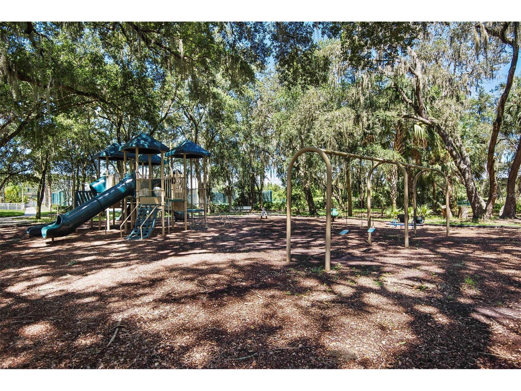 10446 Lucaya Drive Tampa FL 33647 TB8508754 image61