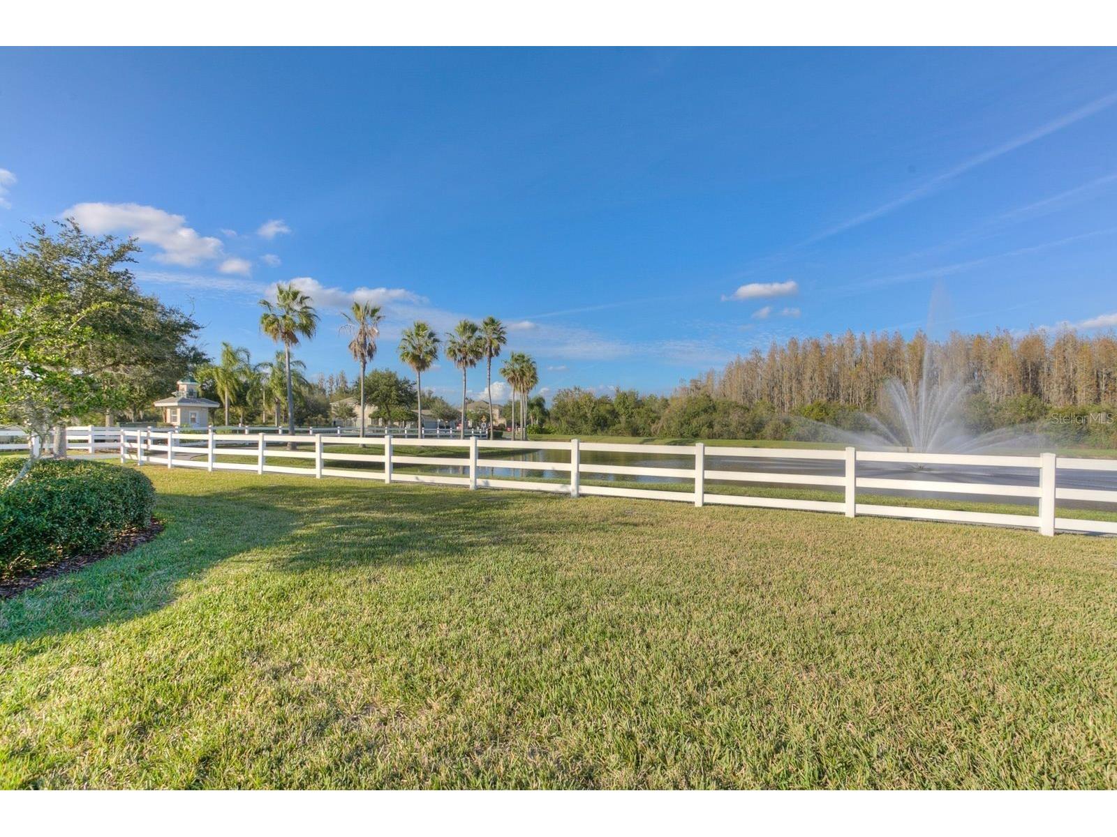 10446 Lucaya Drive Tampa FL 33647 TB8508754 image62